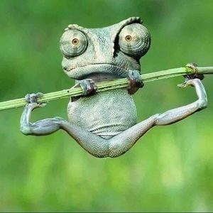 Meet your Posher, Nancy